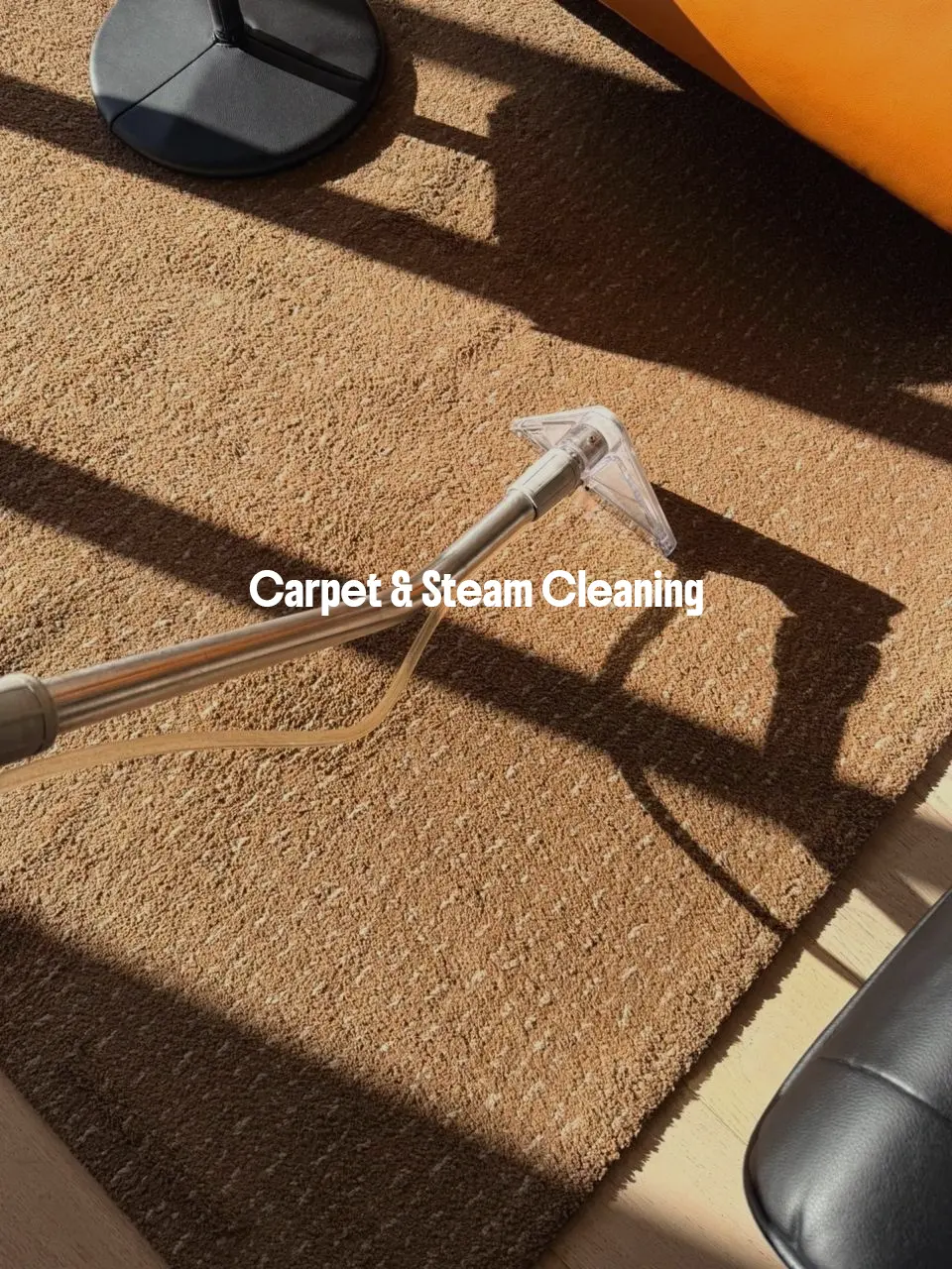 Carpet & Steam Cleaning